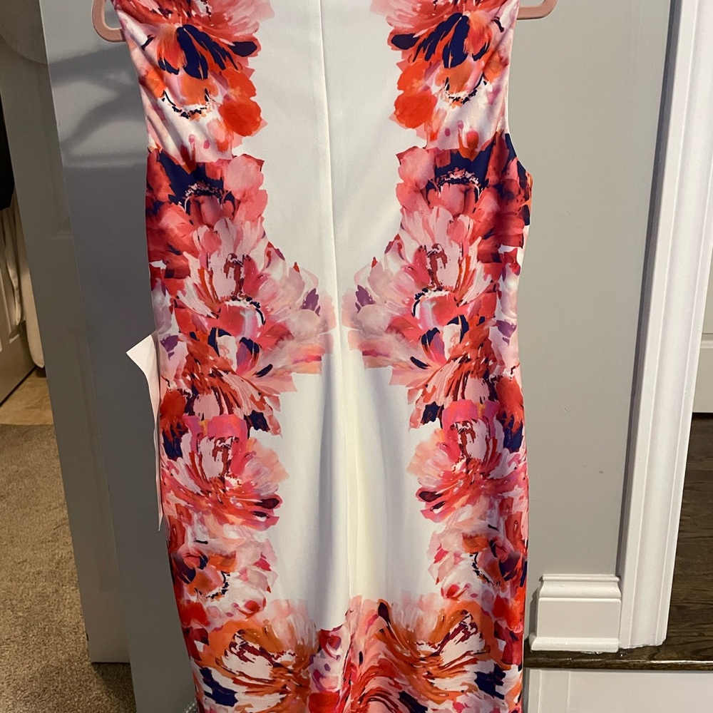 Calvin Klein Dress Size 12